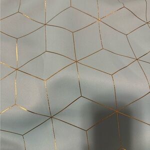 Baby blue and gold curtains